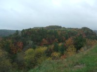 DSCF1274.JPG