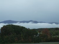 DSCF1420.JPG