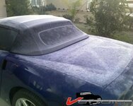 214978ff57b65fb.jpg