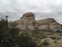 DesertRockscape.jpg