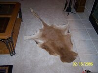 384b4fd338e1247.jpg