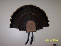 384b4fd3445fd0e.jpg
