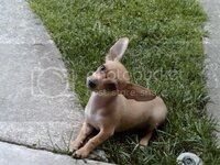 MissyJune13-2.jpg