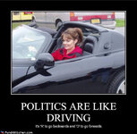 political-pictures-sarah-palin-politics.jpg