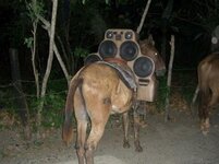 Donkey-Speaker-Mod.jpg