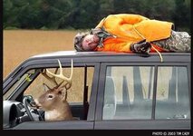 FunnyDeerPhoto.jpg