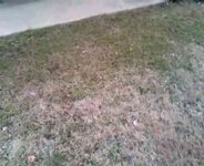 th_VID00024-20140208-1634_zps2e0a4ffa.jpg th_VID00024-20140208-1634_zps2e0a4ffa.jpg