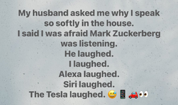 IMG_4051.png