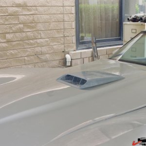 hoodscoop.jpg