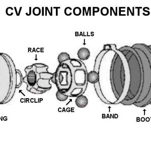 Inside CV Joint.jpg