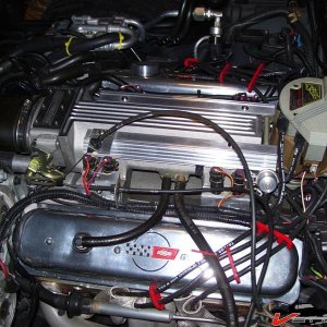 1990 C4 TT 004 (Medium).jpg