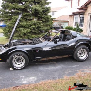 79vette 016 (Small).jpg