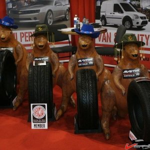 SEMA037.jpg