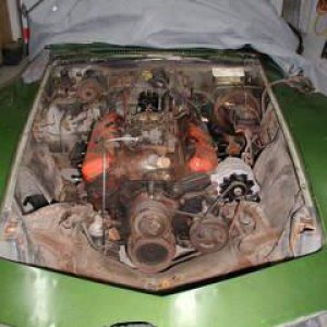 vette motor.JPG