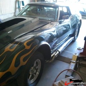 Drag vette 6.jpg