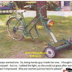 Riding Mower for sale.JPG